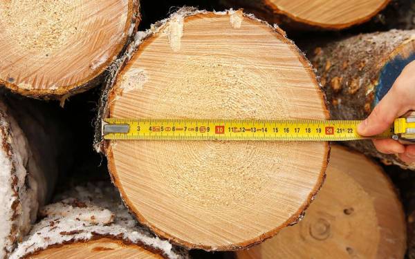 Котроль качества дерева для клееного бруса