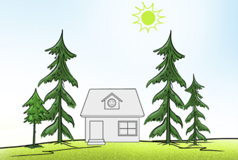 Правильное использование ландшафта с деревьями при выборе участка для строительства дома